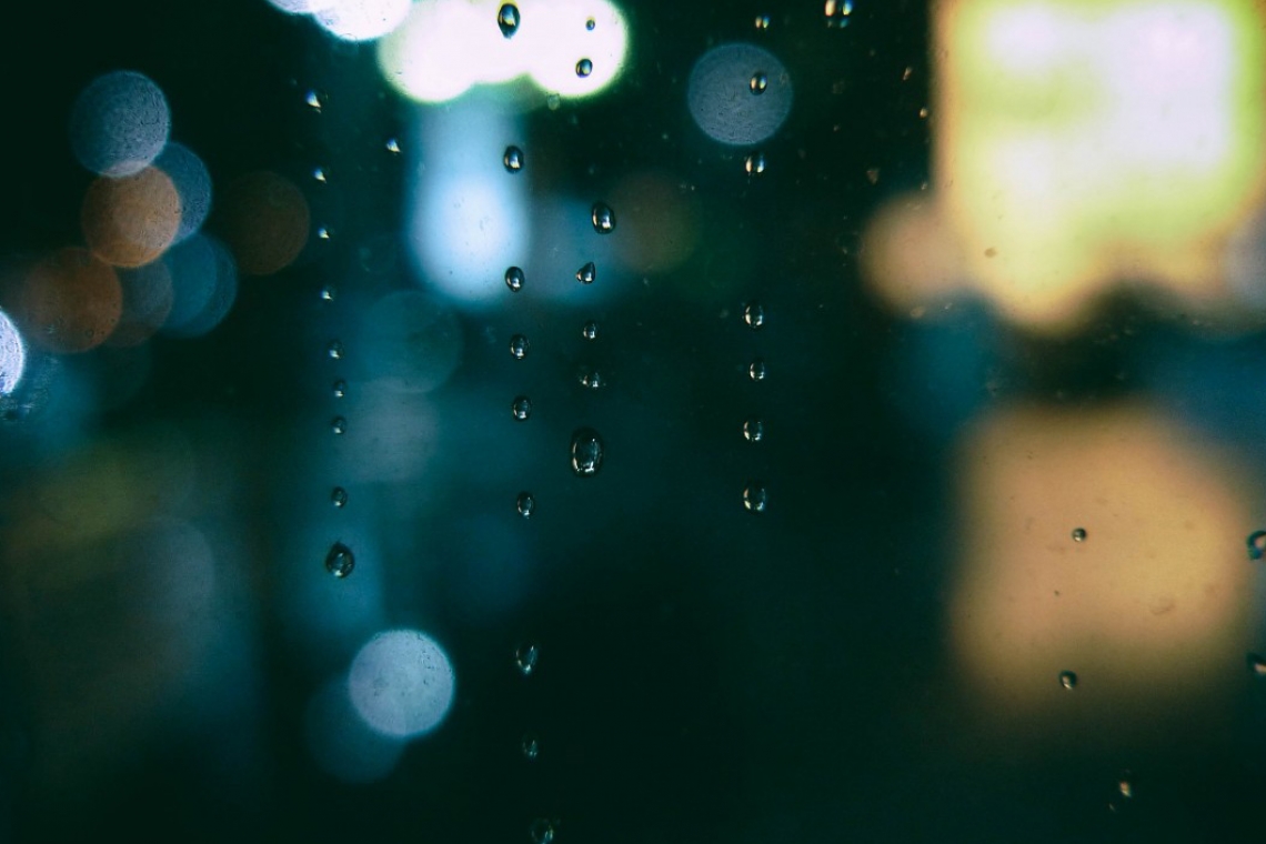 Curating Shape Of Water