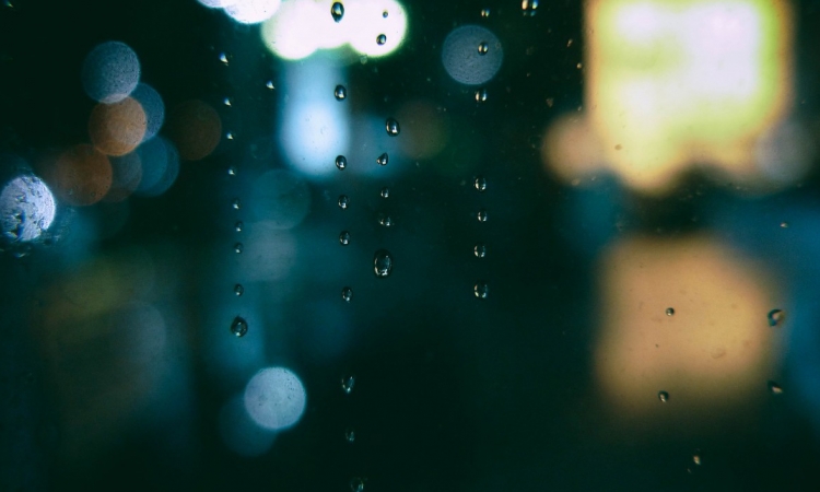 Curating Shape Of Water