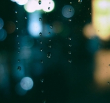 Curating Shape Of Water