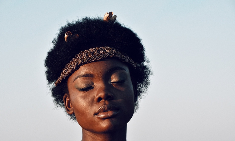 Story Of A Baked Brownie 